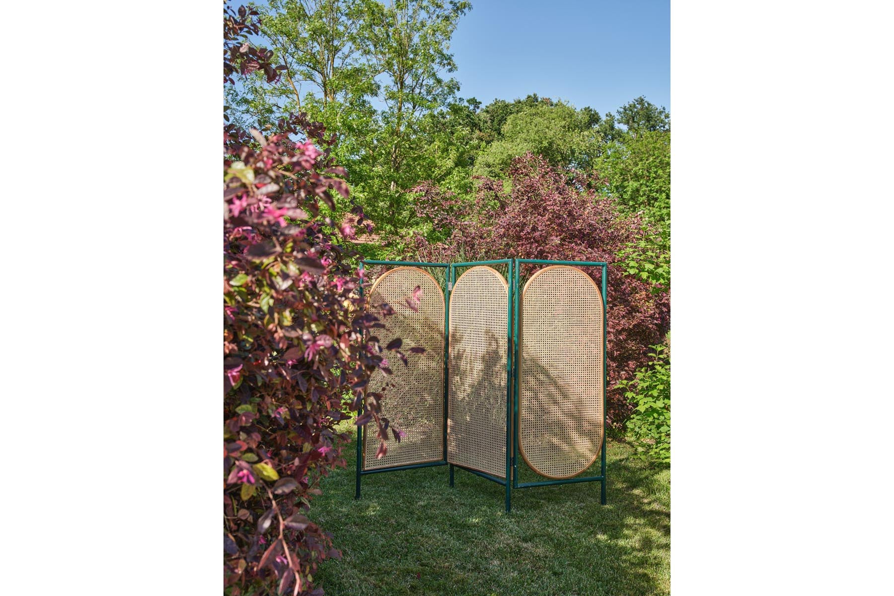 ANTI08B5-BiomboAntipodi2